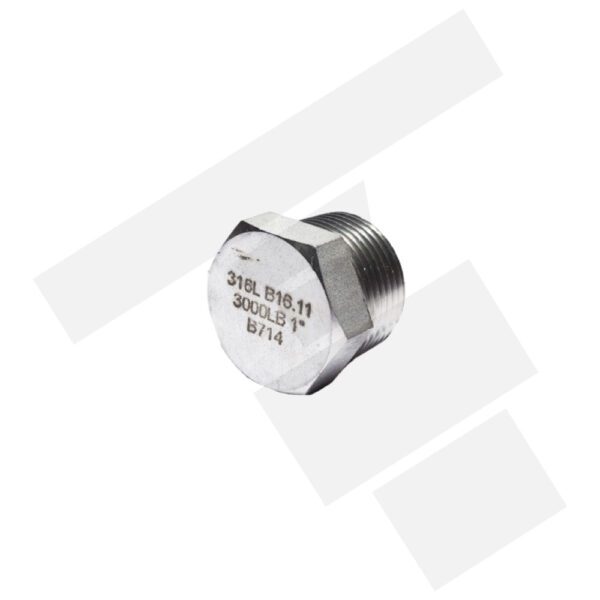 Tapa Tornillo Inox 304 Forjado A182 3000lbs VISA NPT