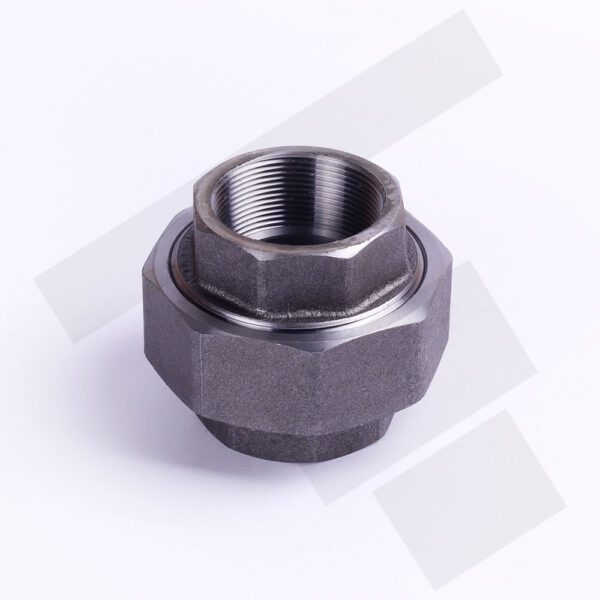 Union Acero Forjado A105 3000lbs VISA NPT